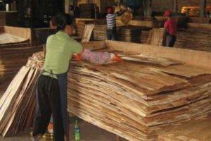 Вьетнам запретил импорт китайской фанеры