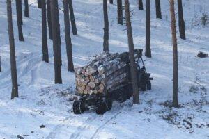 Кабмин ужесточил контроль за потреблением древесины в Украине