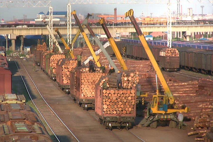 Экспортные цены на круглый лес в Новой Зеландии в декабре выросли