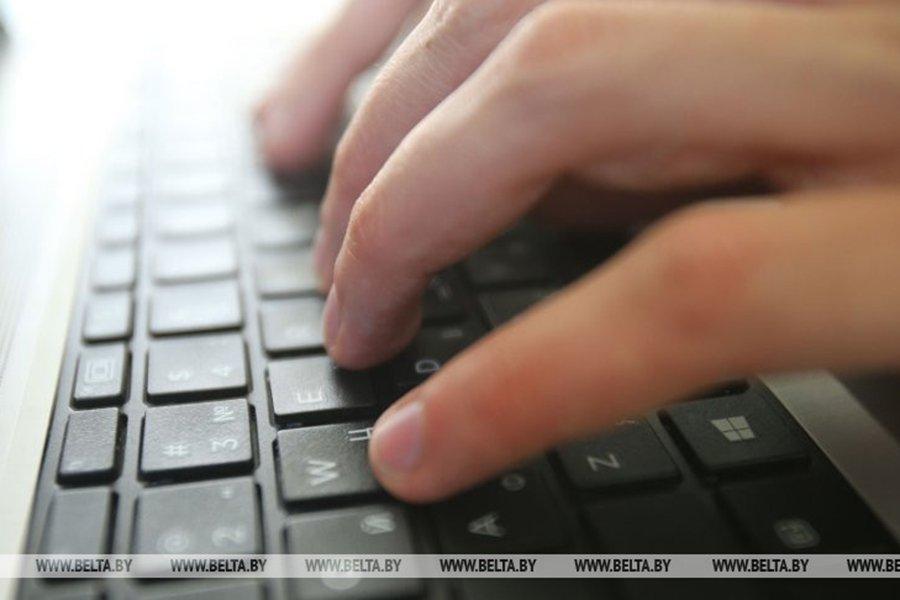 Электронную систему учета древесины планируют поэтапно внедрять в Беларуси в 2021 году