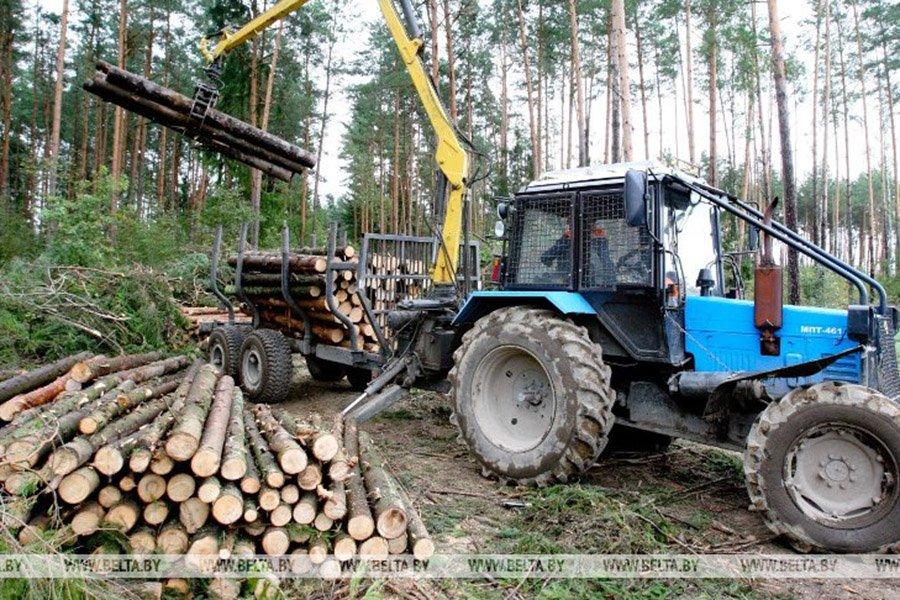 You are currently viewing БУТБ намерена содействовать экспорту белорусской лесопродукции в Германию