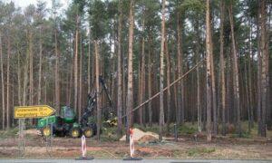 Німецький суд ухвалив рішення зупинити вирубку лісу на місці будівництва заводу Tesla під Берліном