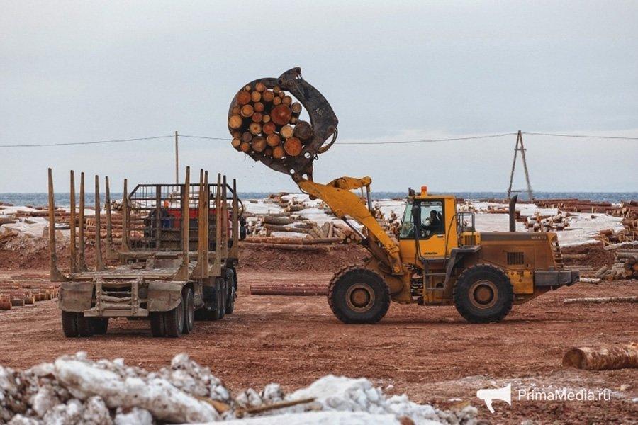 КНР ужесточила фитосанитарный контроль лесного экспорта