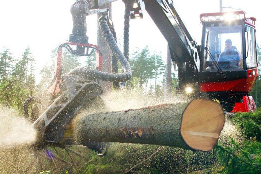 Операционные убытки, опубликованные Bergs Timber в четвертом квартале 2019 года