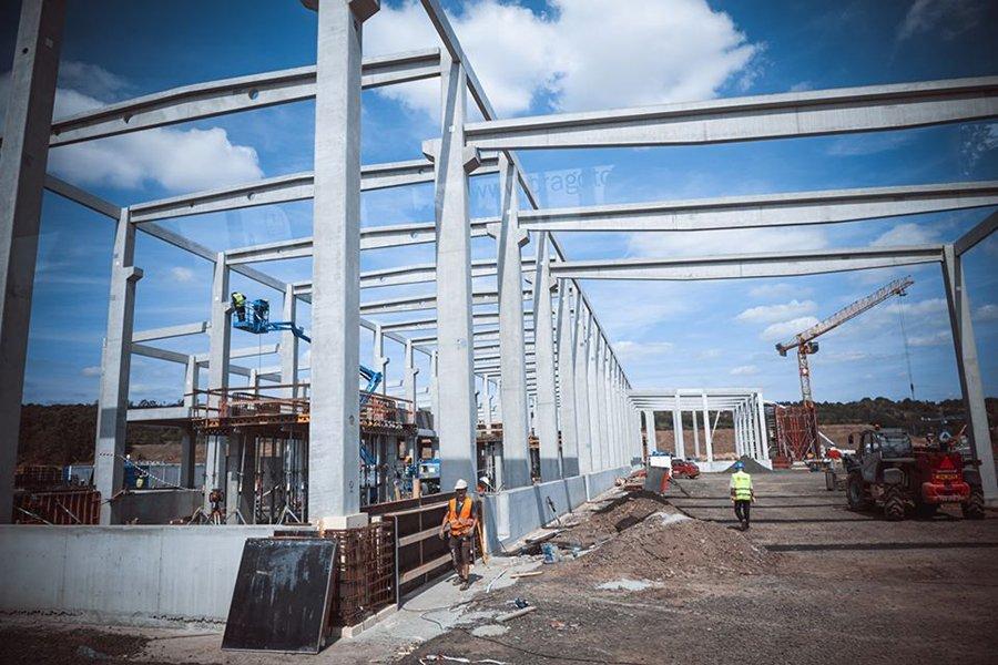 Лесопильный завод Labe Wood начнет распиловку в конце февраля