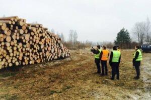 Timbeter (Эстония), стартап точного лесного хозяйства, закрывает 920 тыс. евро на расширение деятельности в Юго-Восточной Азии и Латинской Америке