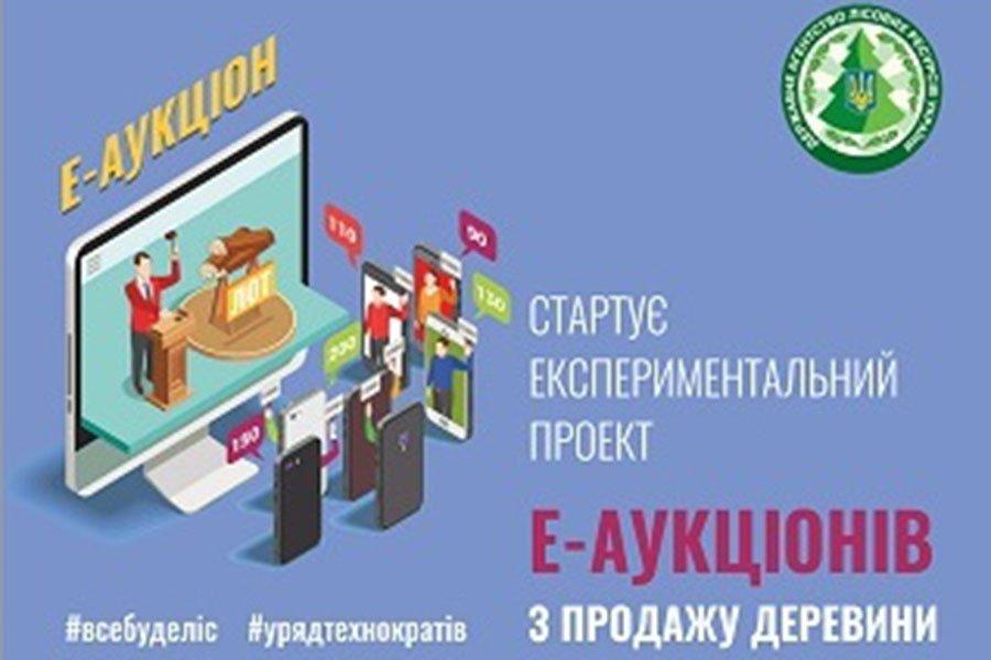 Пошаговая инструкция участия в электронных аукционах древесины на e-площадке ГП «ЛИАЦ» Гослесагентства