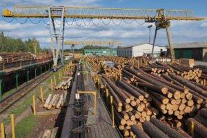 Украина: О реализации экспериментального проекта по проведению электронных аукционов по продаже необработанной древесины