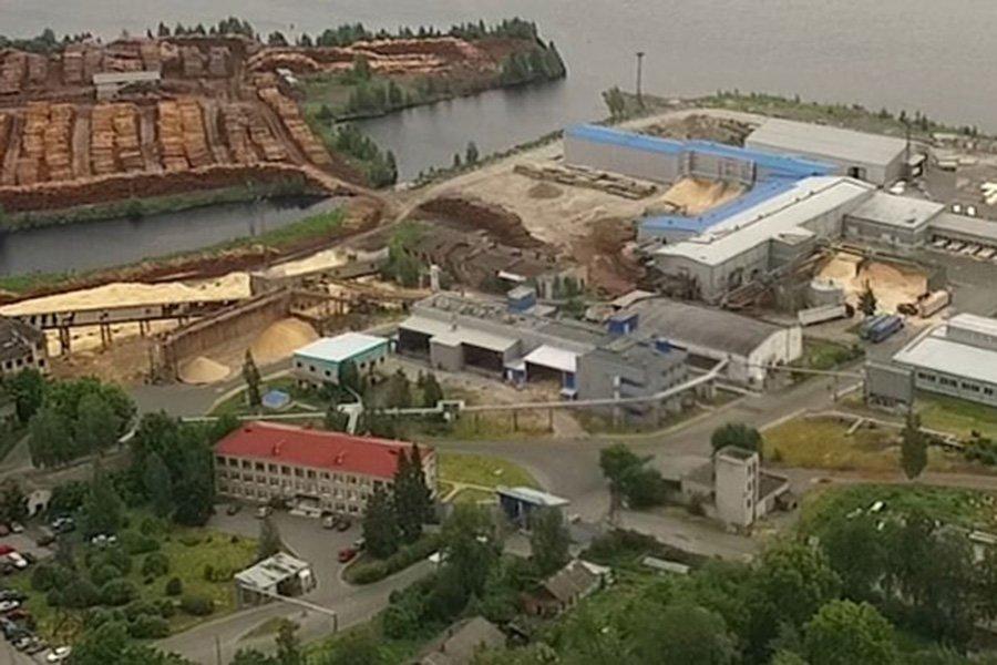 Соломенский лесозавод вводит в эксплуатацию RuScan