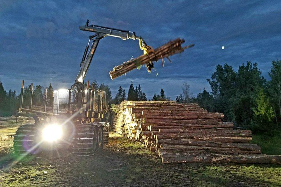 Швеция: снижение оборота из-за снижения цен и объемов реализации круглого леса