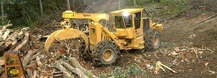 You are currently viewing Новый грейферный трелевочный трактор от Tigercat