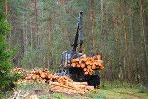В декабре 2019 г. Финляндия сократила заготовку древесины на 15%