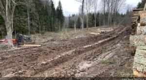Погода мешает заготовке леса в Латвии