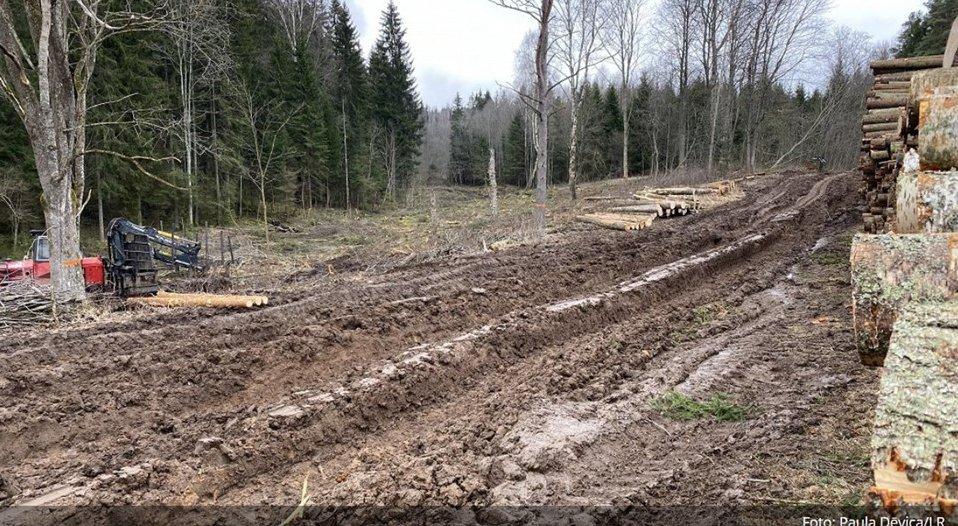 Погода мешает заготовке леса в Латвии