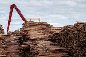 В 2019 г. Финляндия увеличила импорт древесины на 2%