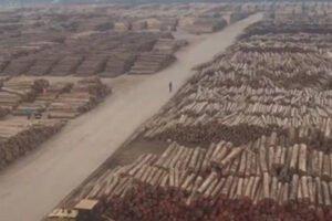 Коронавирус: поставки круглого леса в Китай затруднены; бревна застряли в портах, а цены растут