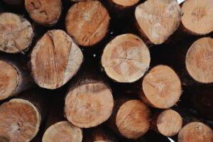 Франция представляет новый 50% закон об устойчивости древесины