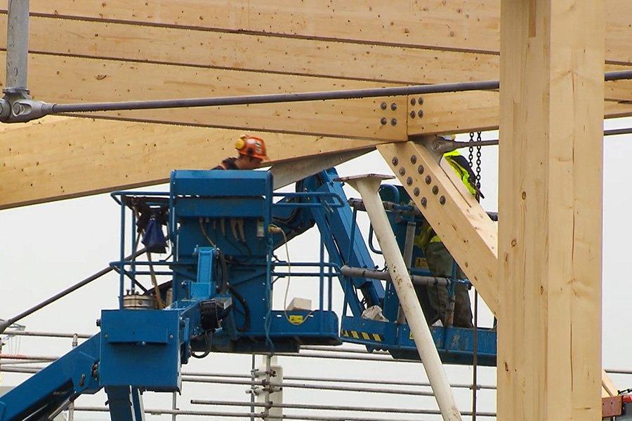 Wood for Good назначает нового руководителя кампании