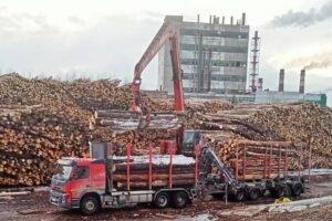 Цены на круглый лес в России резко упали в феврале 2020 года