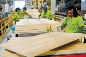 80% импортеров древесины из ЕС и США отменили свои заказы из Вьетнама