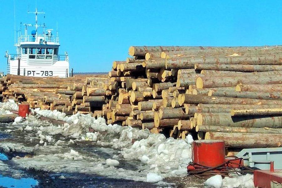 Лесосибирский ЛДК №1 получил первую партию круглого леса по воде