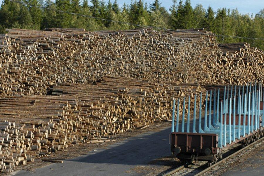 Финляндия: цены на круглый лес поднялись в марте