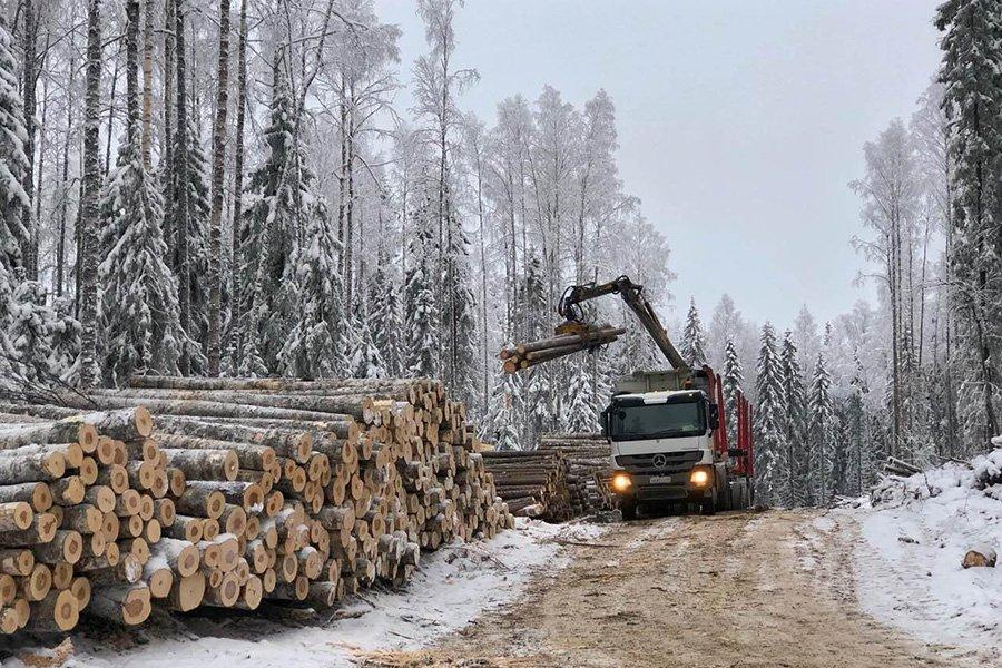 В зимний сезон 2020 г. Группа «Титан» вывезла 1,6 млн м3 древесины