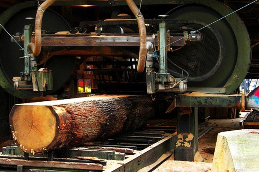 Vastern Timber частично возобновляет деятельность