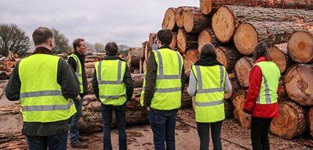 Новое исследование Великобритании показывает снижение спроса на древесину