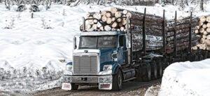 В США отложили решение по снижению пошлин на канадскую хвойную древесину
