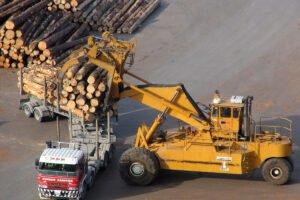 Новозеландская лесная и деревоперерабатывающая промышленность могут возобновить работу