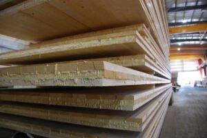 Первый склад из массивной древесины строится на острове Ванкувер в Канаде