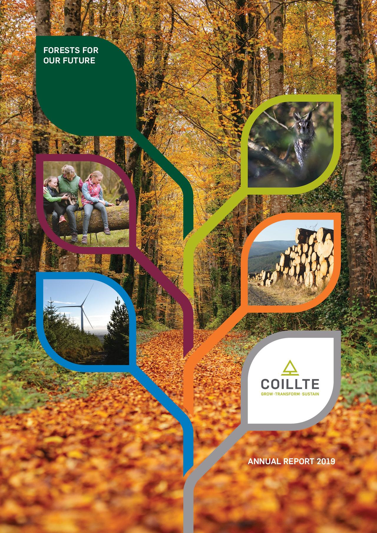 НЕСМОТРЯ НА ТРУДНОСТИ, У COILLTE В 2019 ГОДУ ОТЛИЧНЫЕ ФИНАНСОВЫЕ И ОПЕРАЦИОННЫЕ ПОКАЗАТЕЛИ