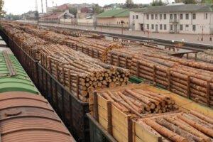 Рекордное снижение экспорта необработанной древесины из России