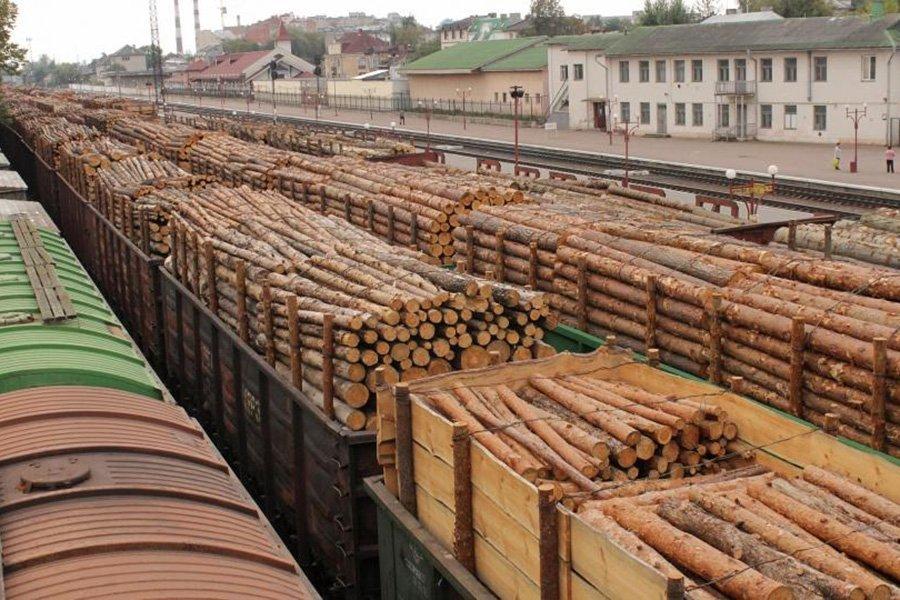 Рекордное снижение экспорта необработанной древесины из России