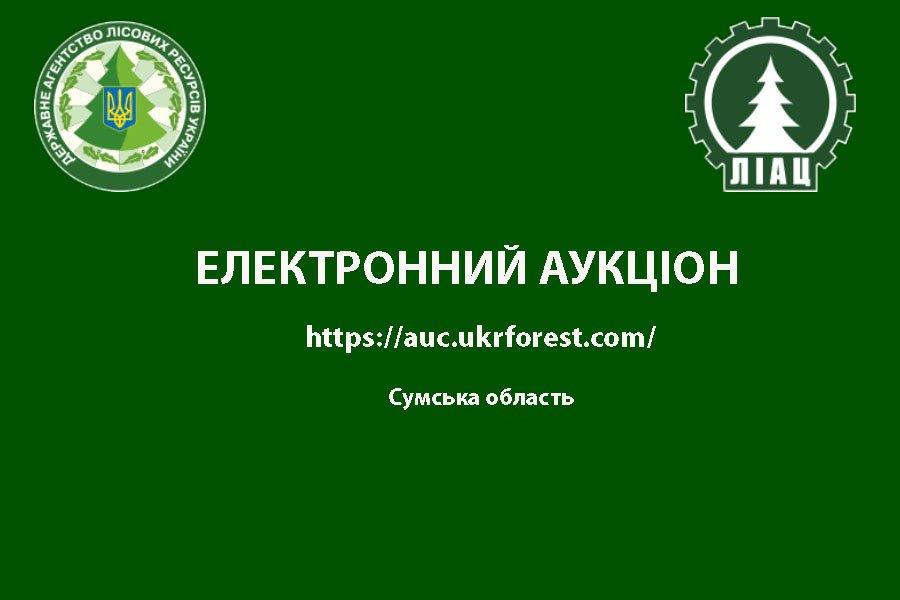 Дополнительный электронный аукцион по Сумской области