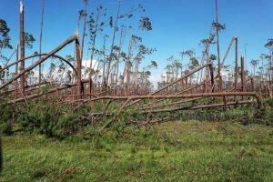 Объявлен фонд помощи пострадавшим от урагана «Майкл» на сумму 380 млн долларов