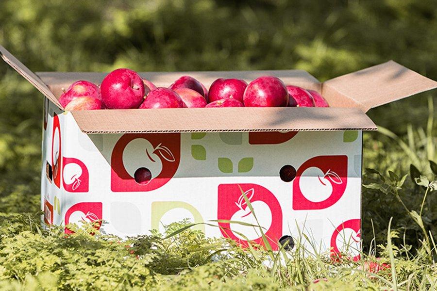 Cascades разработала новую линейку упаковочной продукции Cascades Fresh