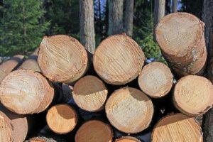 Эстония: цены на круглые лесоматериалы увеличились в конце апреля