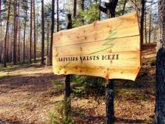 Версия: сделки с древесиной Latvijas valsts meži проверит Госполиция и KNAB