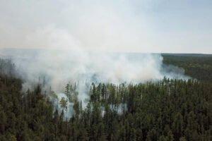 Почти 300 лесных пожаров в Сибири на фоне рекордно теплой погоды