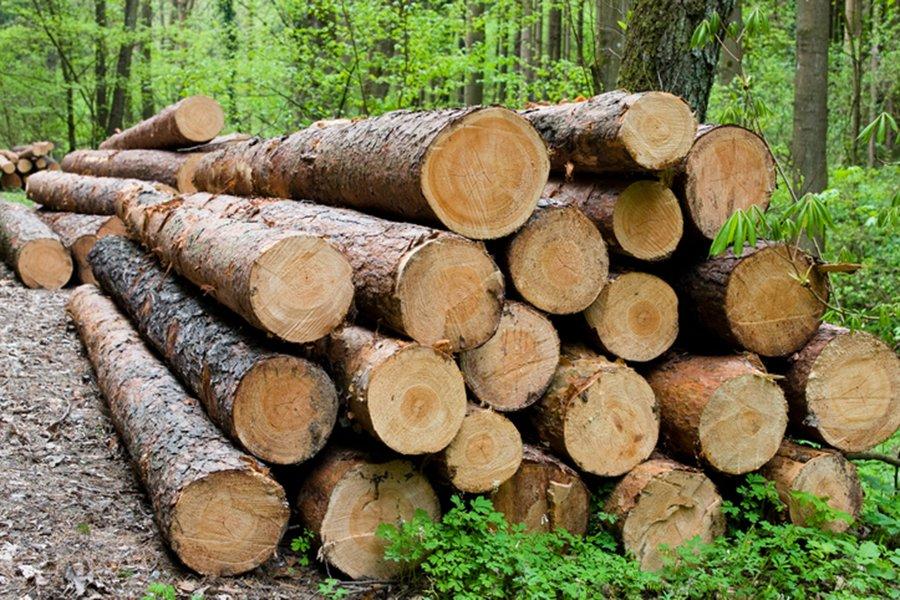 Комиссия ЕС угрожает Румынии действиями перед Европейским судом