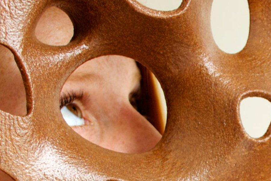 Американские пионеры 3D-печати запускают Forust 3D печатные изделия из древесины