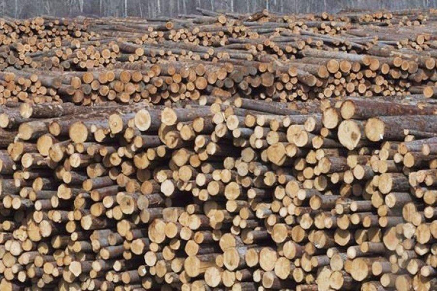 Торговля круглым лесом в Финляндии сократилась на 30%