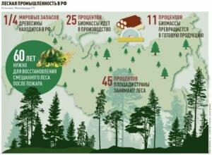Новая стратегия развития для лесопромышленного комплекса