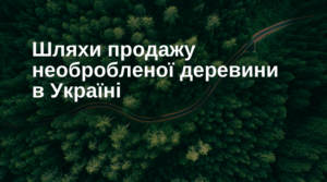 Шляхи продажу необробленої деревини в Україні.
