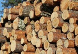 Экспорт древесины хвойных пород из Германии в Китай увеличился вдвое