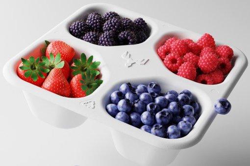 Metsä Spring и Valmet строят новый опытный завод в Финляндии