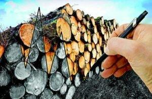 Ринок деревини: в очікуванні змін