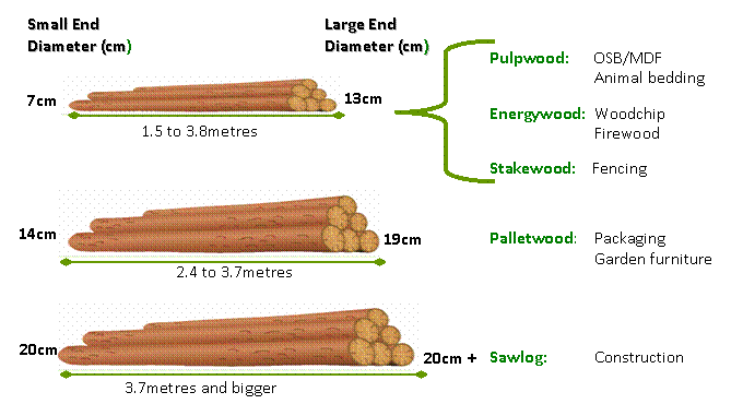 http://www.teagasc.ie/forestry/images/timber_assortments.gif